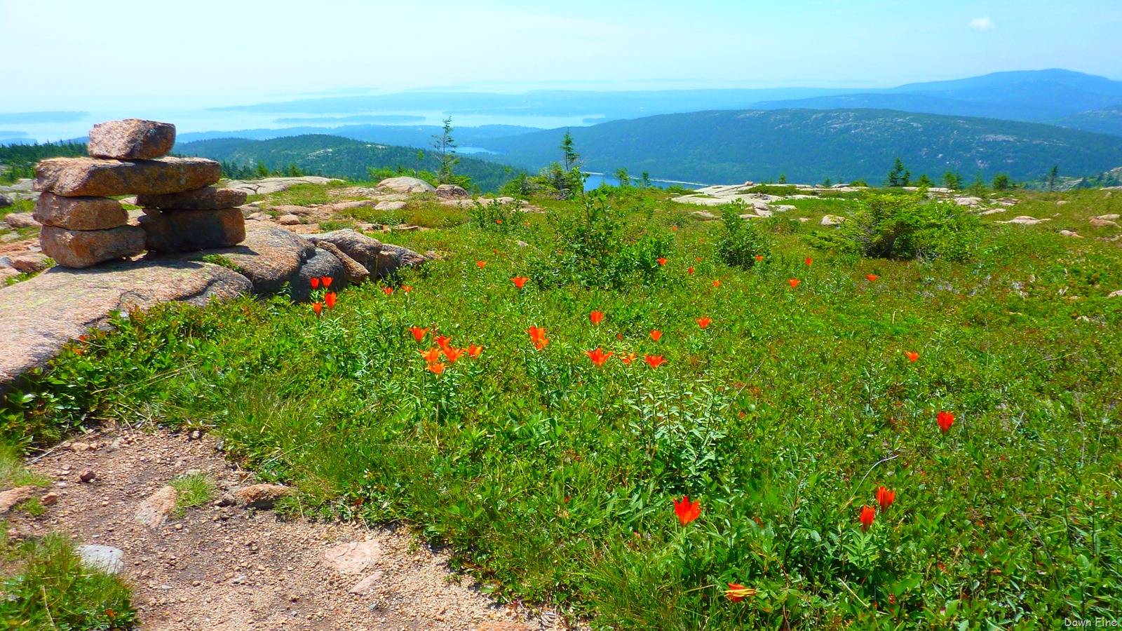 [Sargentmountainhike_1254.jpg]