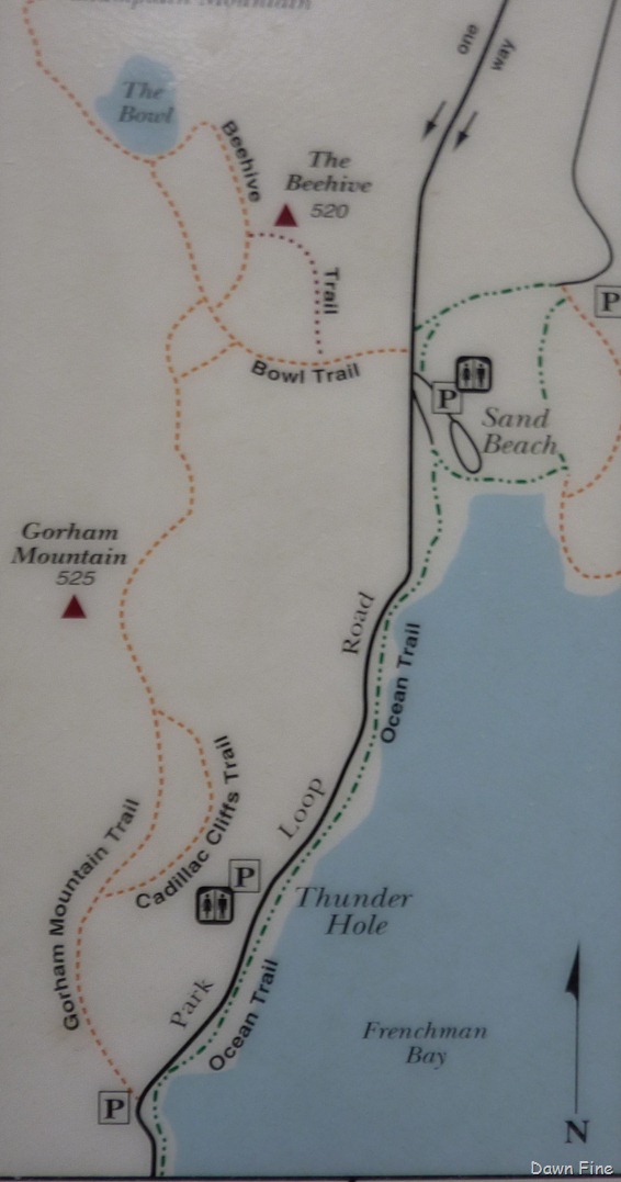 [Gorhammthike_0087.jpg]