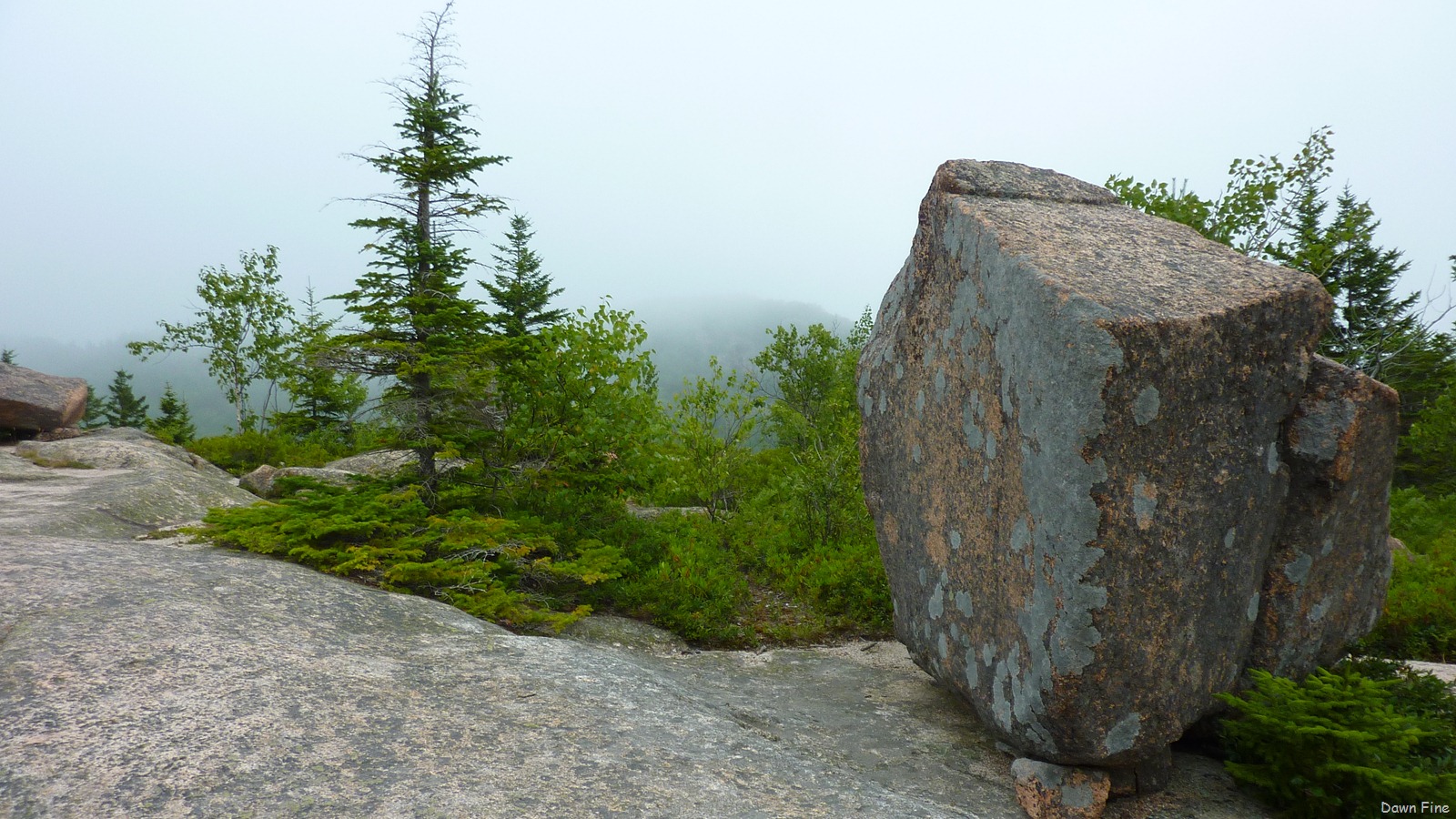 [Gorham mt hike_088.jpg]