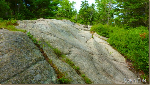 Gorham mt hike_017