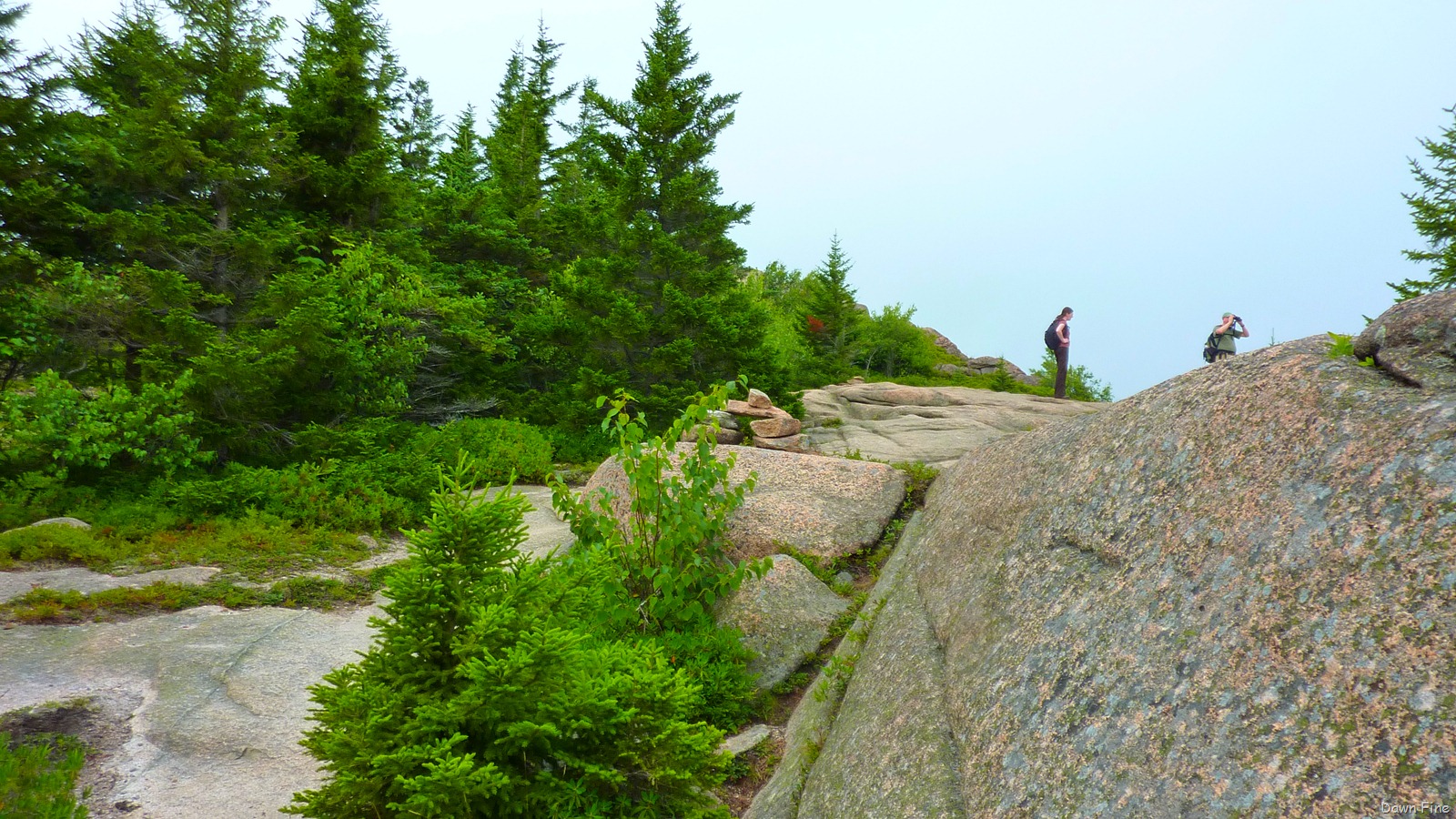 [Gorham mt hike_034.jpg]