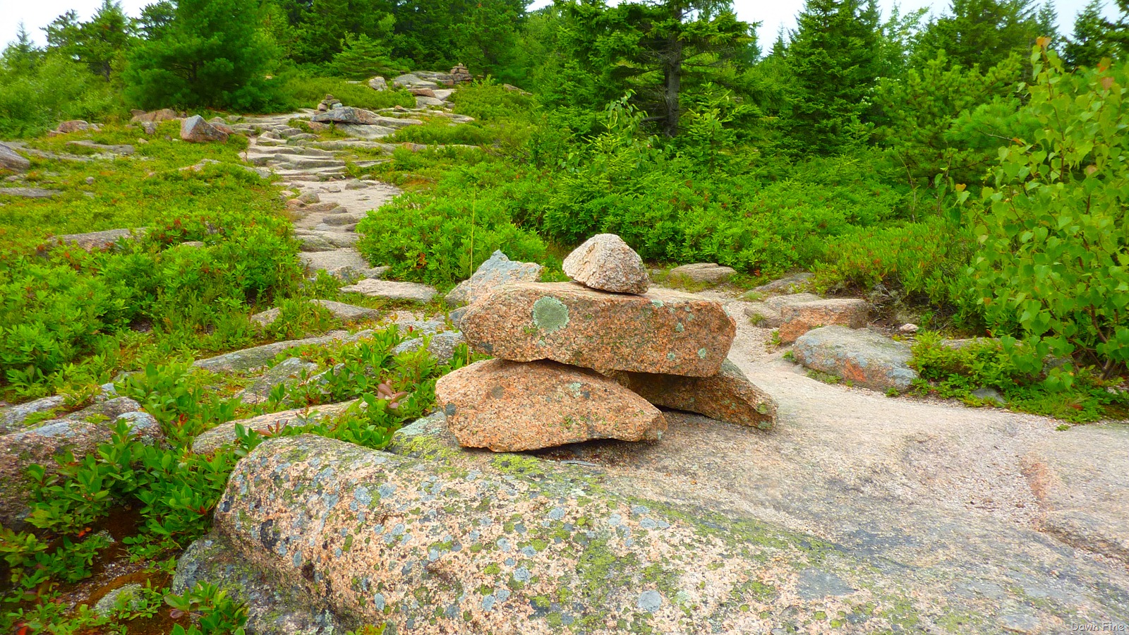[Gorham mt hike_051[1].jpg]