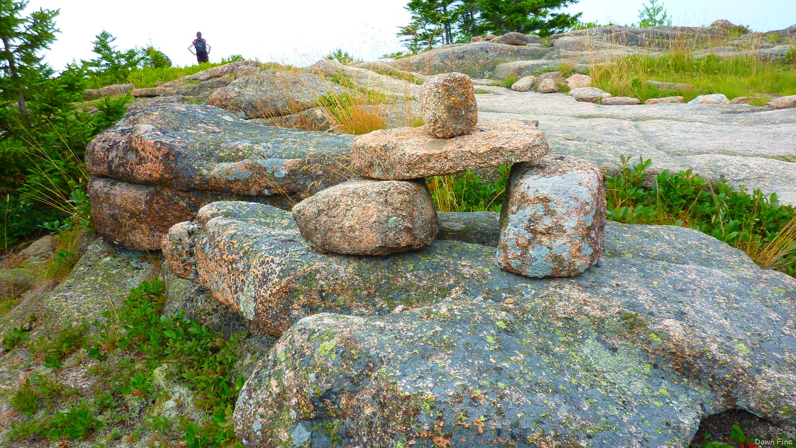[Gorham mt hike_061.jpg]