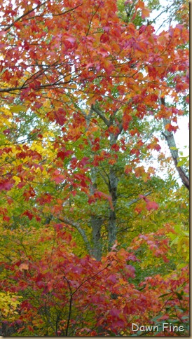 Lantern Hill_042