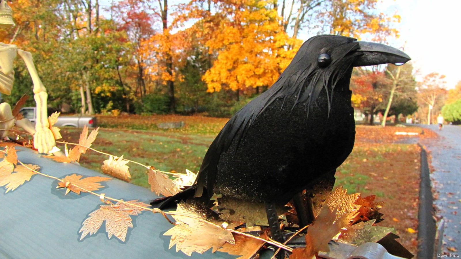 [Holloween around the block_014[3].jpg]