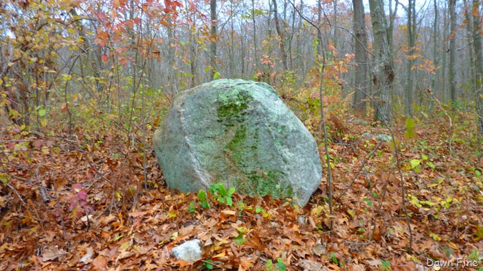 [Bluff point _006[4].jpg]