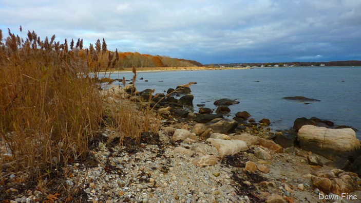 [Bluff point _049[4].jpg]