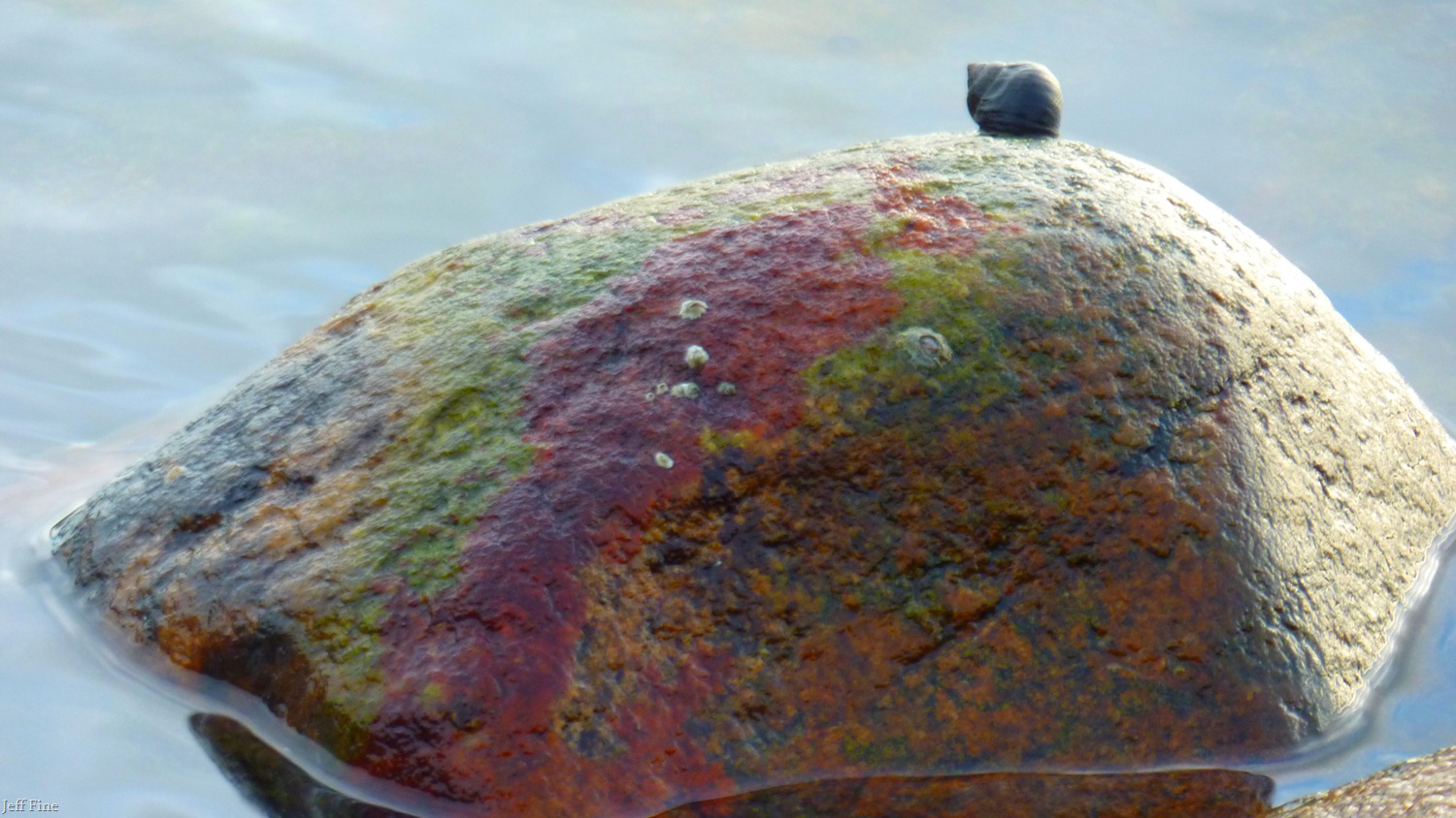 [Bluff point _068[6].jpg]