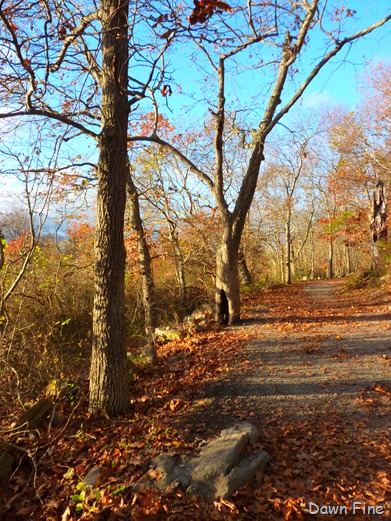 [Bluff point _099[4].jpg]