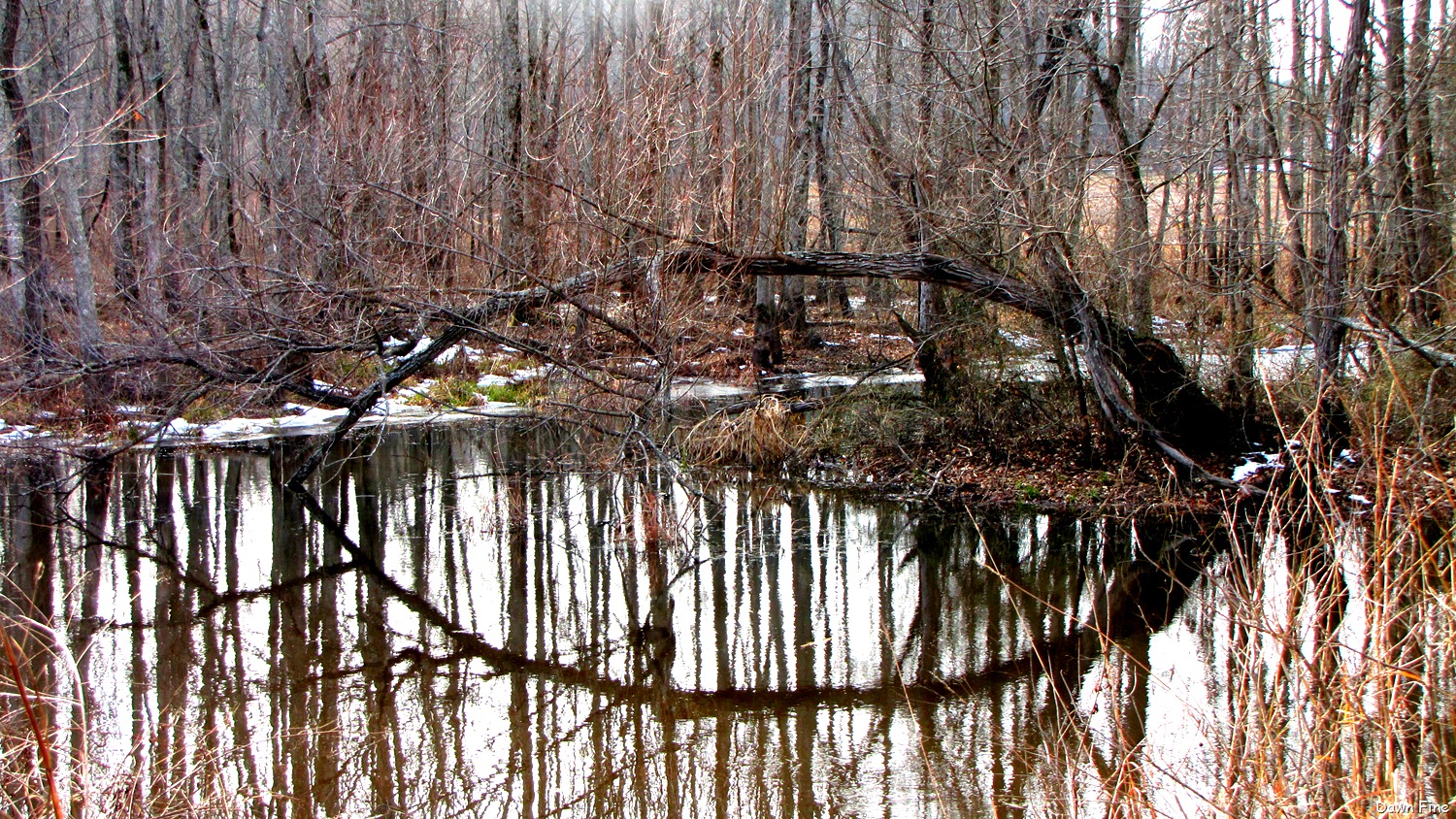 [Pee Dee_078[12].jpg]