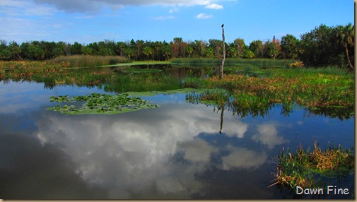 Green Cay_358 Green Cay_358