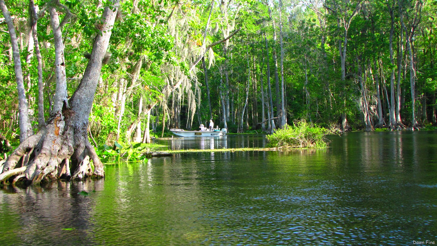 [Silver-Springs-State-Park_0194.jpg]