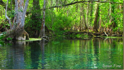 Silver Springs State Park_232