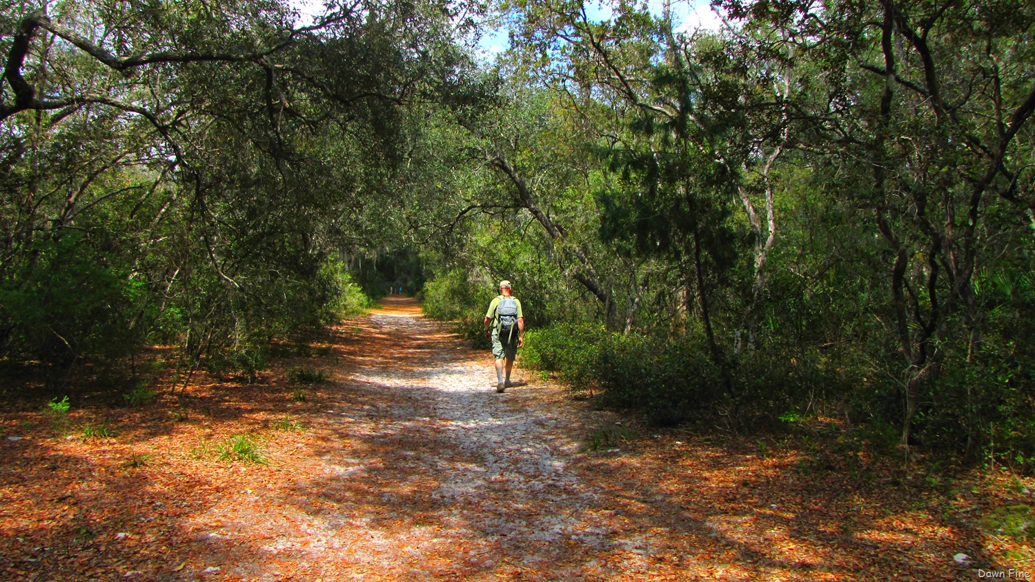 [Silver-Springs-State-Park_2504.jpg]