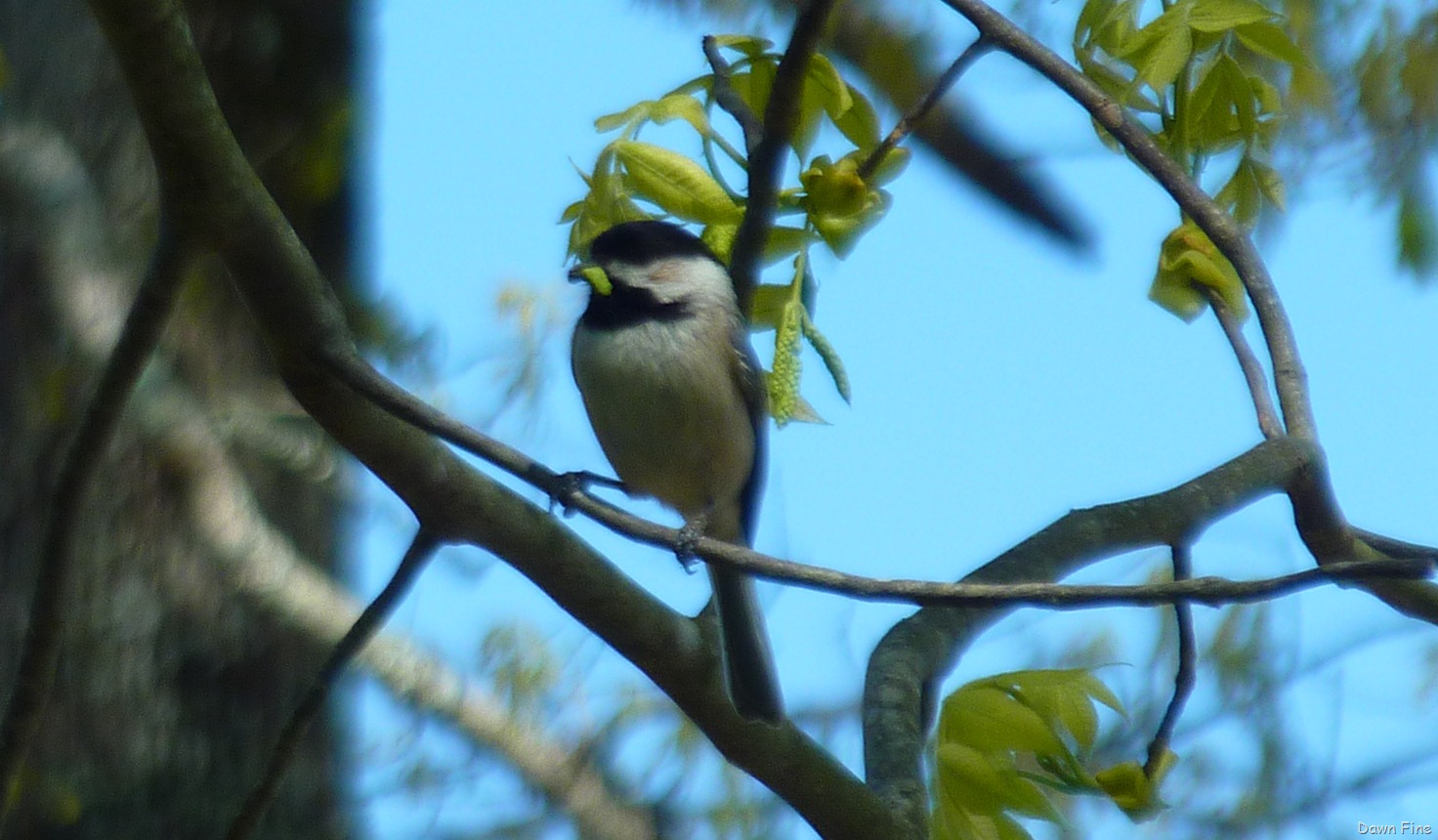 [Sickstas storm and more_004[4].jpg]