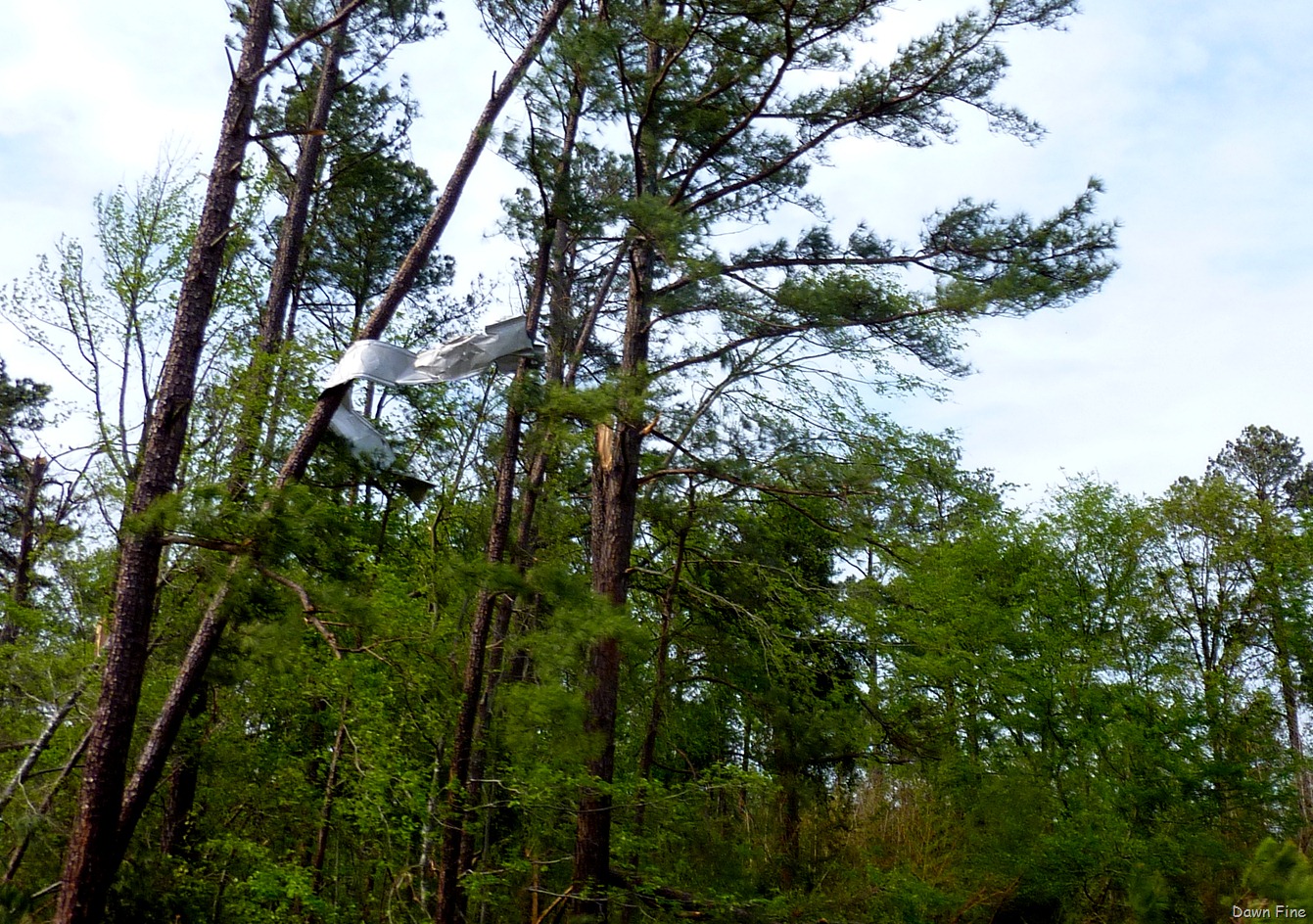 [Tornado Damage Sanford NC_007[3].jpg]