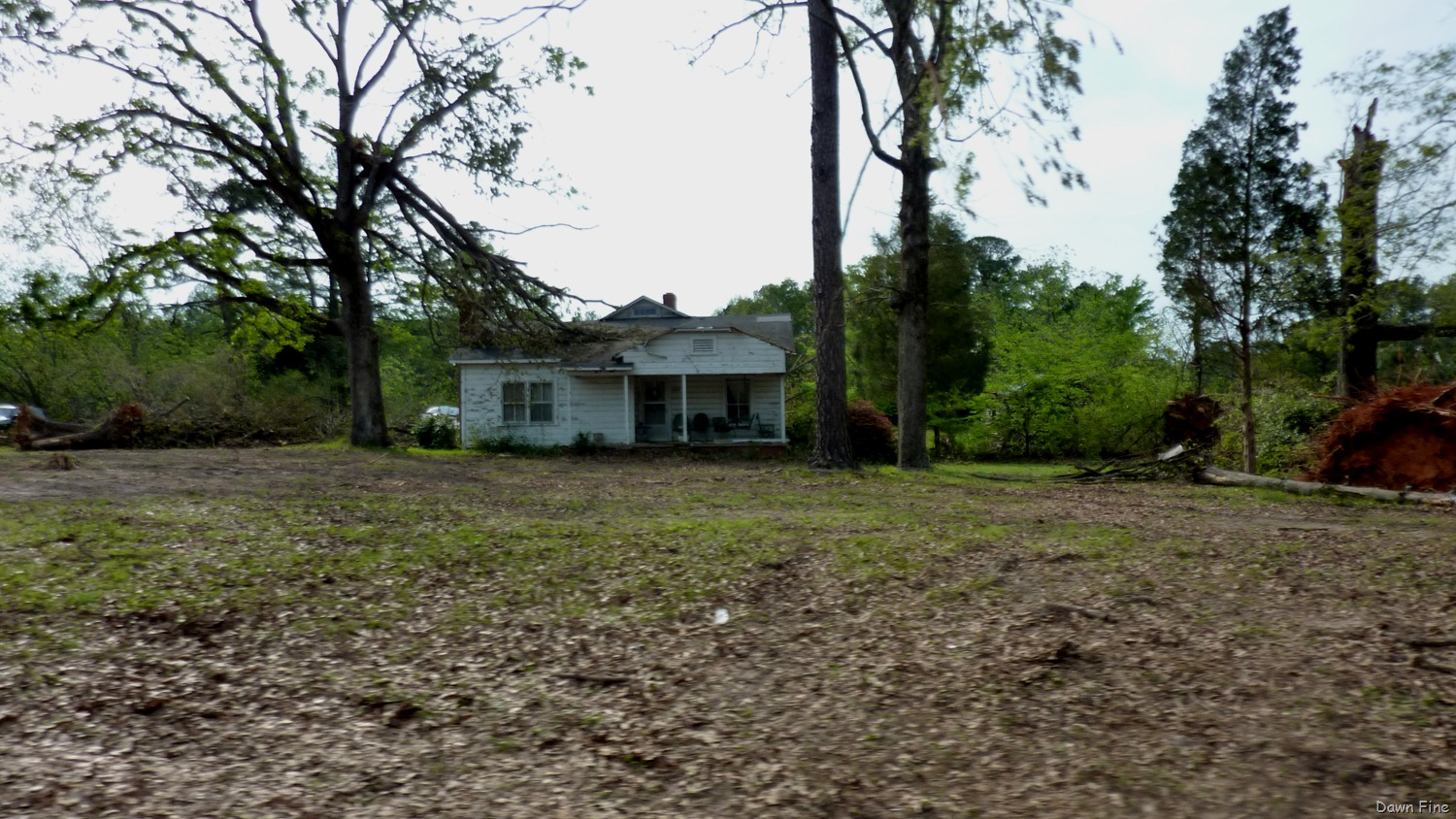 [Tornado Damage Sanford NC_031[2].jpg]