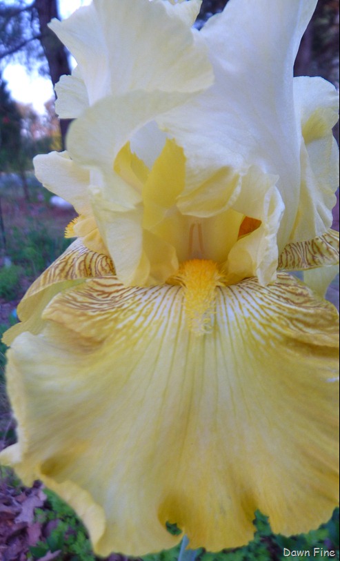 [Sickstas storm and more_036[7].jpg]