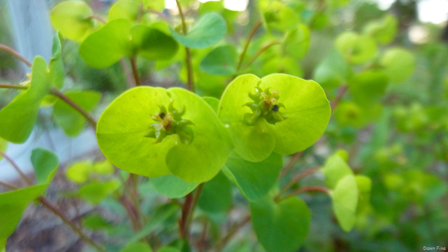 [Sickstas storm and more_044[3].jpg]