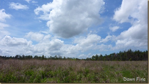 Clouds near Cassins Sp_001