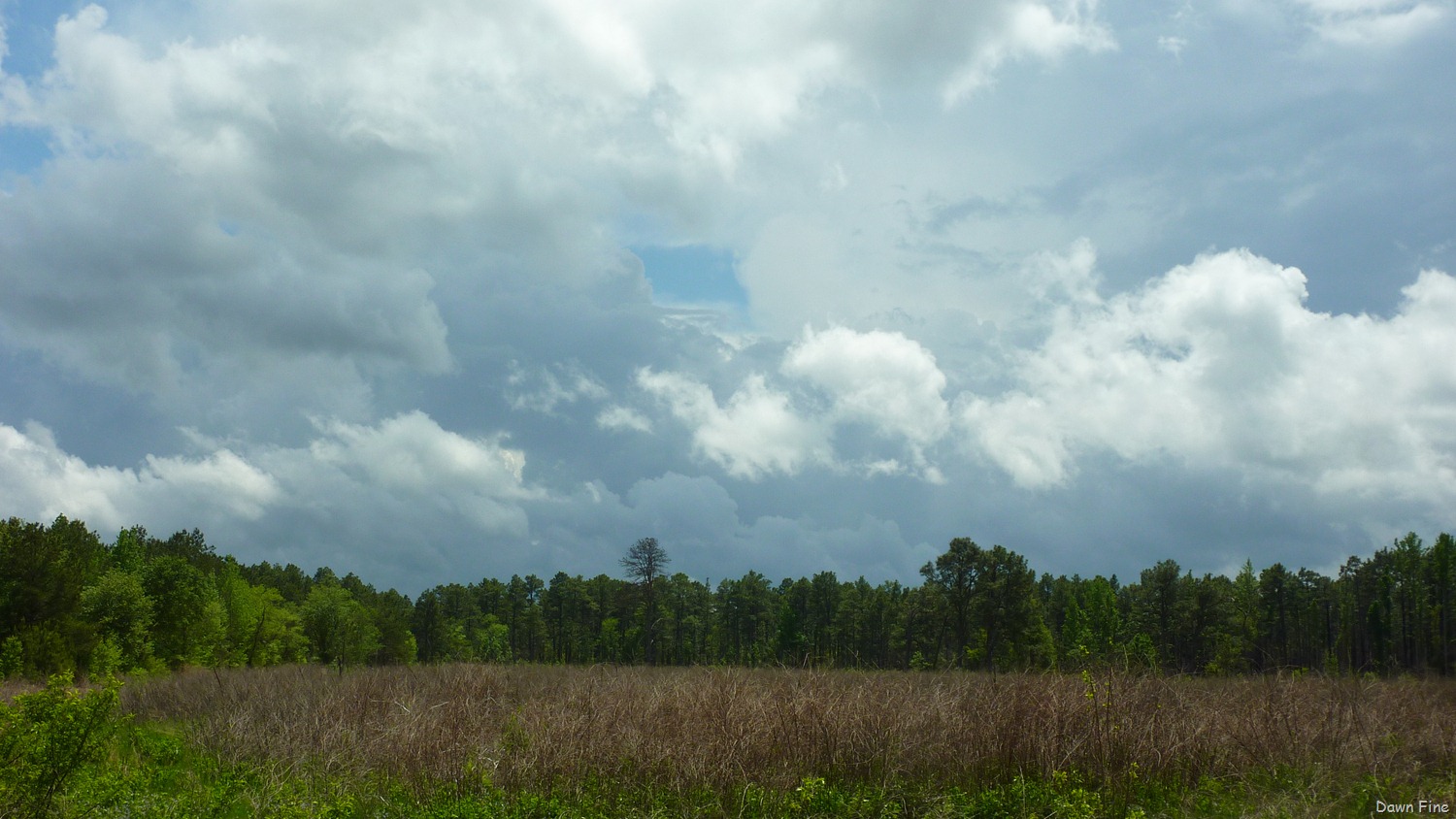 [Clouds near Cassins Sp_005[6].jpg]