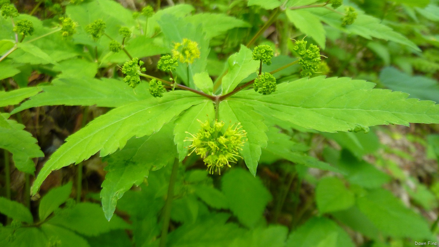 [New-River-day-2_0253.jpg]