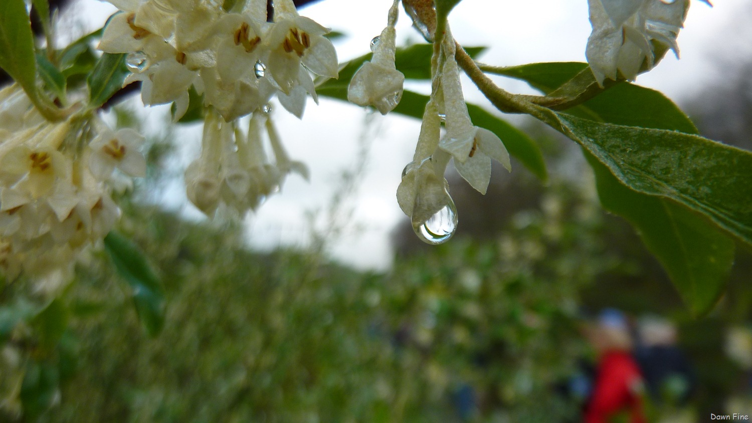 [new-river-day-3_0033.jpg]