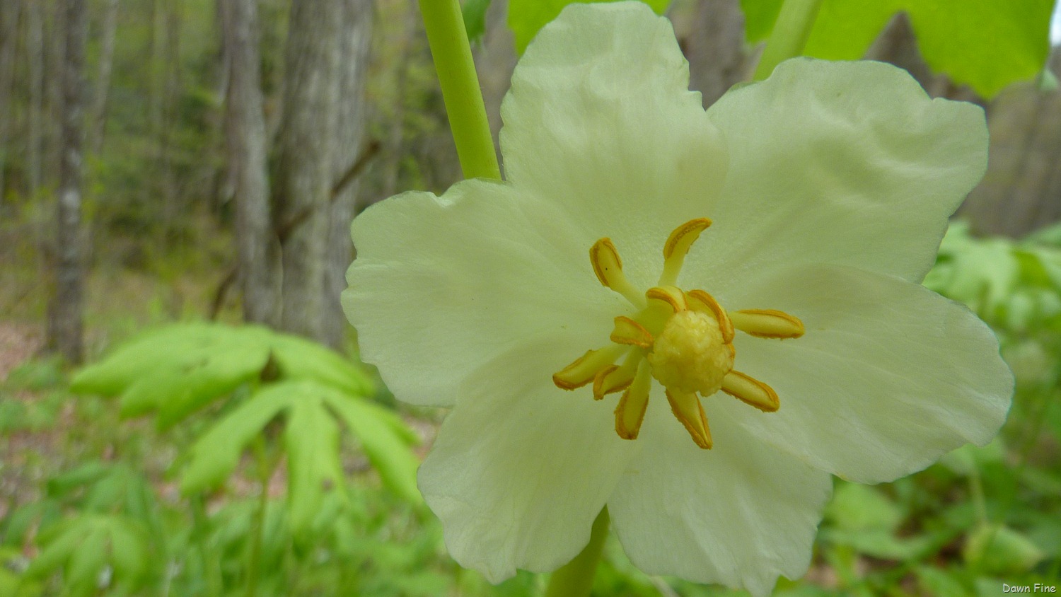 [New-River-day-5_056.jpg]