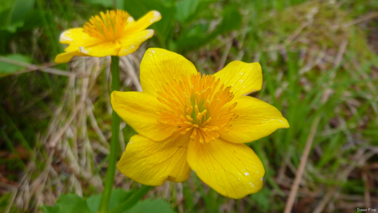 [NEW-river-day-6_0223.jpg]