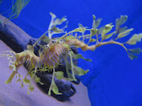 IMG_1173.JPG