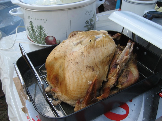 [Fall thru Thanksgiving 2010 043[2].jpg]