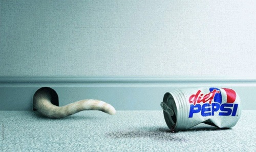 diet_pepsi_cat