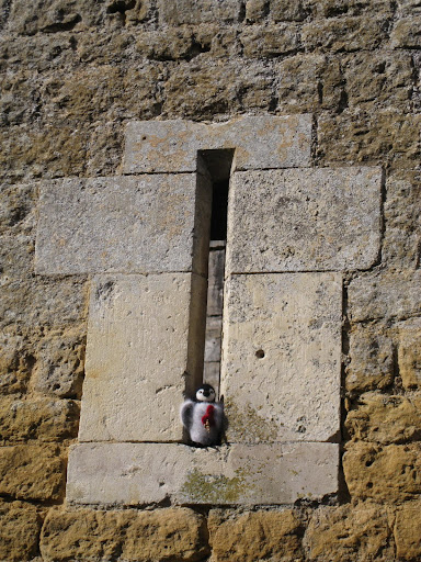 Point of penguin infiltration!