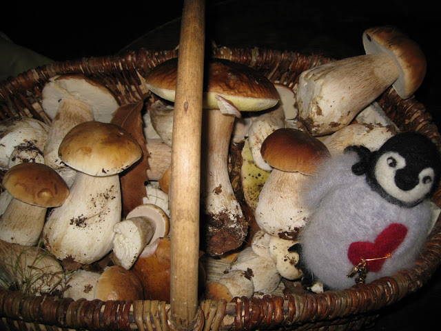 Percy gets up close and personal with cepes--lucky bird! These were picked in the forest by Mme who owns the goats & is incidentally the mother of our closest neighbour. And yes, they taste as delicious as they look!