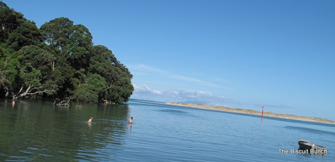MangawhaiSwim