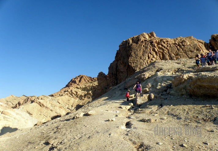 PA055423 PA055423