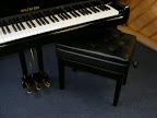 Waldstein Grand