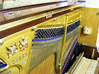 Richard Lipp upright