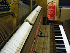 Richard Lipp upright