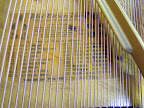 Bluthner 6' 3" Grand piano