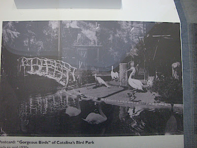 Vintage Post Card, deck image