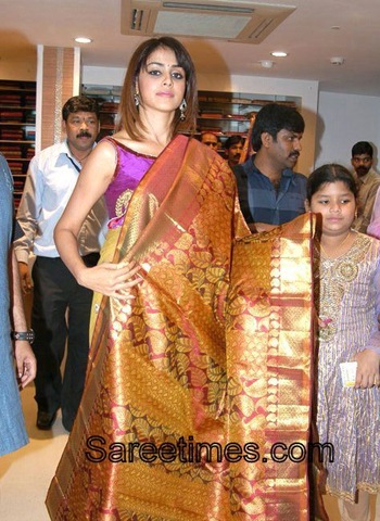 [Genelia_Traditional_Sari[5].jpg]