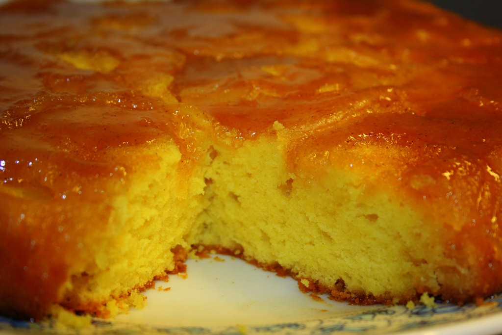 [IMG_0019 (2)[3].jpg]