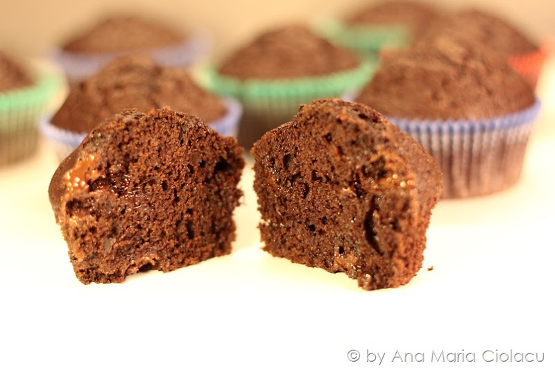 double chocolate muffins 5