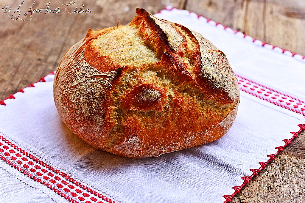 [5No knead bread _ Paine neframantata[23].jpg]