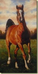 Tapia_158584 Kryos 24x12