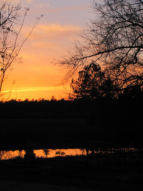 [IMG_18453.jpg]