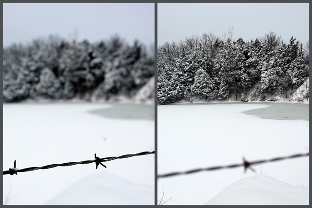 [2011-01-20 jan 11 snow1[3].jpg]
