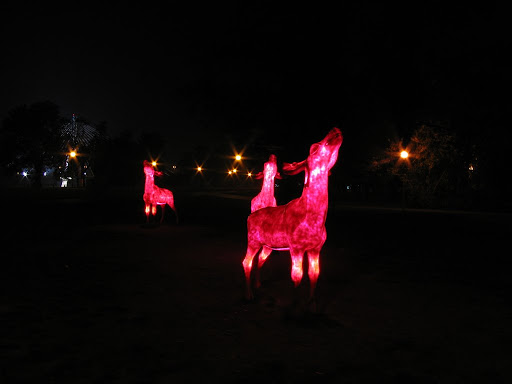 Warsaw by night
