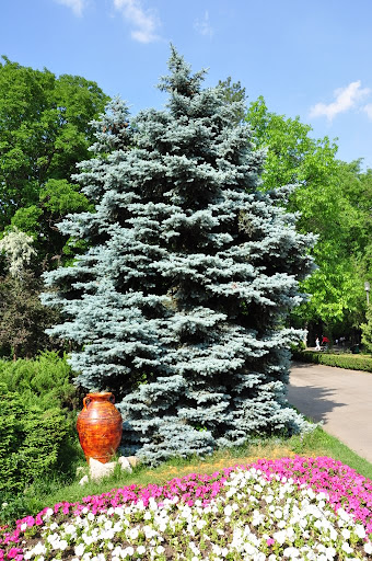 Herestrau Park, Bucharest